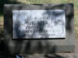 image of grave number 944046